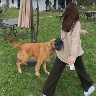 招魂4：终章